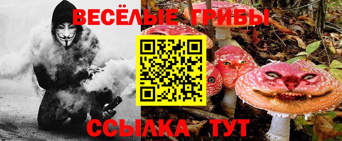 Псилоцибиновые грибы GOLDEN TEACHER  Вход с VPN  Карпинск 