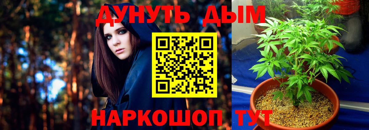 Бошки марихуана конопля  Вход с VPN  Карпинск  Бошки марихуана план  Марихуана семена 